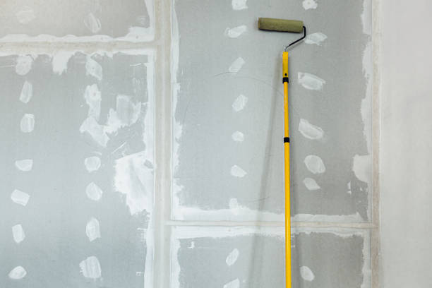 Best Drywall Texturing  in Mayfield, OH